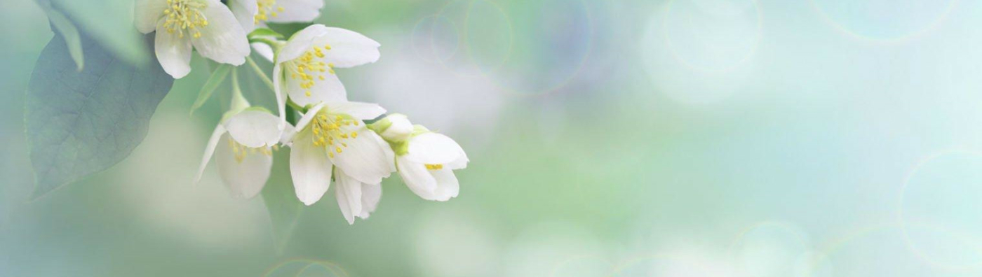 enviar flores cumpleaños